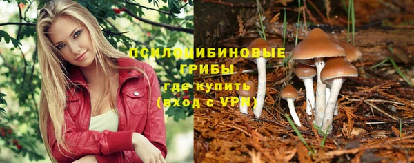 герыч Алзамай