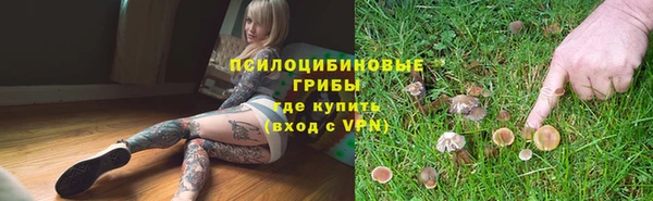 герыч Алзамай