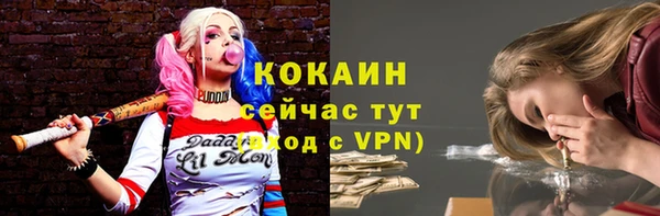 spice Алексин