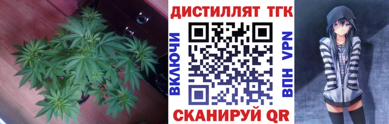 продажа наркотиков  Козловка  ТГК гашишное масло 
