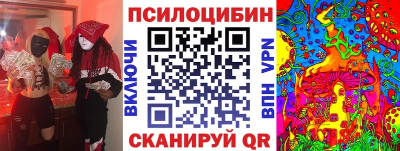 где купить   дарк нет Telegram  omg tor  Галлюциногенные грибы Psilocybine cubensis  Козловка 